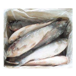 China Frozen Aziatische Verse Vis Karper Vis - Product Image 1