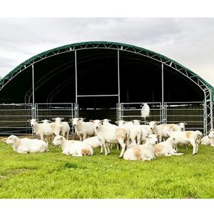 Tente pour bétail 6x6m en promotion, structure en acier robuste, abri pour volailles - Product Image 6