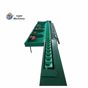 Automatic conveyor sorter olive sorting potato sorting machine