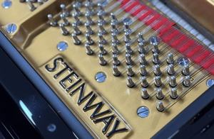 <span class=keywords><strong>Piano</strong></span> de cola Steinway de primera calidad, fabricado en Alemania, 88 teclas, teclado de madera maciza, sonido claro y potente para sala de conciertos - Product Image 5