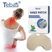 Patch de soulagement de la douleur par compresse froide et chaude, patch de gel à base de plantes pour le genou, le dos, le cou, les muscles et les articulations, soin rafraîchissant et chauffant