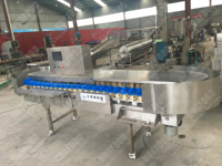 Automatisch hogesnelheids sorteerband systeem voor het sorteren van kippen/garnalen/vis voor fruitverwerkingsbedrijven