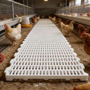 Source de Confiance : Plaque de Sol <span class=keywords><strong>Rigide</strong></span> Emboîtable pour Ferme, Panneau de Sol à Lattes en PP, Sol en <span class=keywords><strong>Plastique</strong></span> pour Enclos d'Animaux - Product Image 1