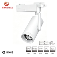 Luces LED de Riel COB Inteligentes y Modernas de Aluminio, 0-10V Dali Tuya, Regulables, con Haz de Luz Estrecho Ajustable de 10-55 Grados, 30W/35W, Alto CRI