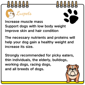 Жевательные таблетки Lucpets для пожилых собак: поддержка иммунитета, быстрое усвоение, высокобелковая формула, пробиотики и витамины для улучшения здоровья - Product Image 2