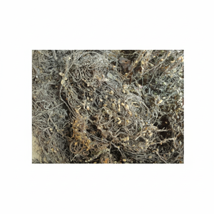 สาหร่าย SARGASSUM แห้งที่ขายส่ง - Product Image 1