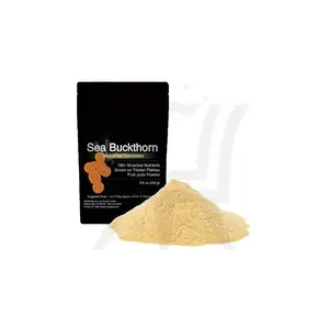 Raw Material High Quality Sea Buckthorn Powder Fruit Juice Powder with Omega 3, 6, 7 and 9 Strengthen Immune