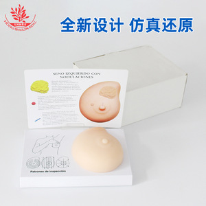 Female breast examination model, medical teaching <b>tool</b>, gynecological human <b>silicone</b> pathology diagnostic demonstration breast - Product Image 2