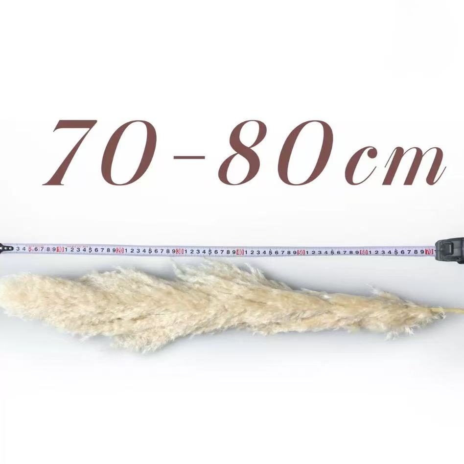 70cm-80cm