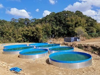 Fournisseurs chinois Vente en gros Grande bâche ronde en pvc Aquaculture Tilapia RAS Aquarium Agriculture