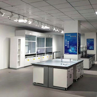 Table de travail de laboratoire clinique en résine époxy anti-corrosion avec armoire supérieure, mobilier de laboratoire