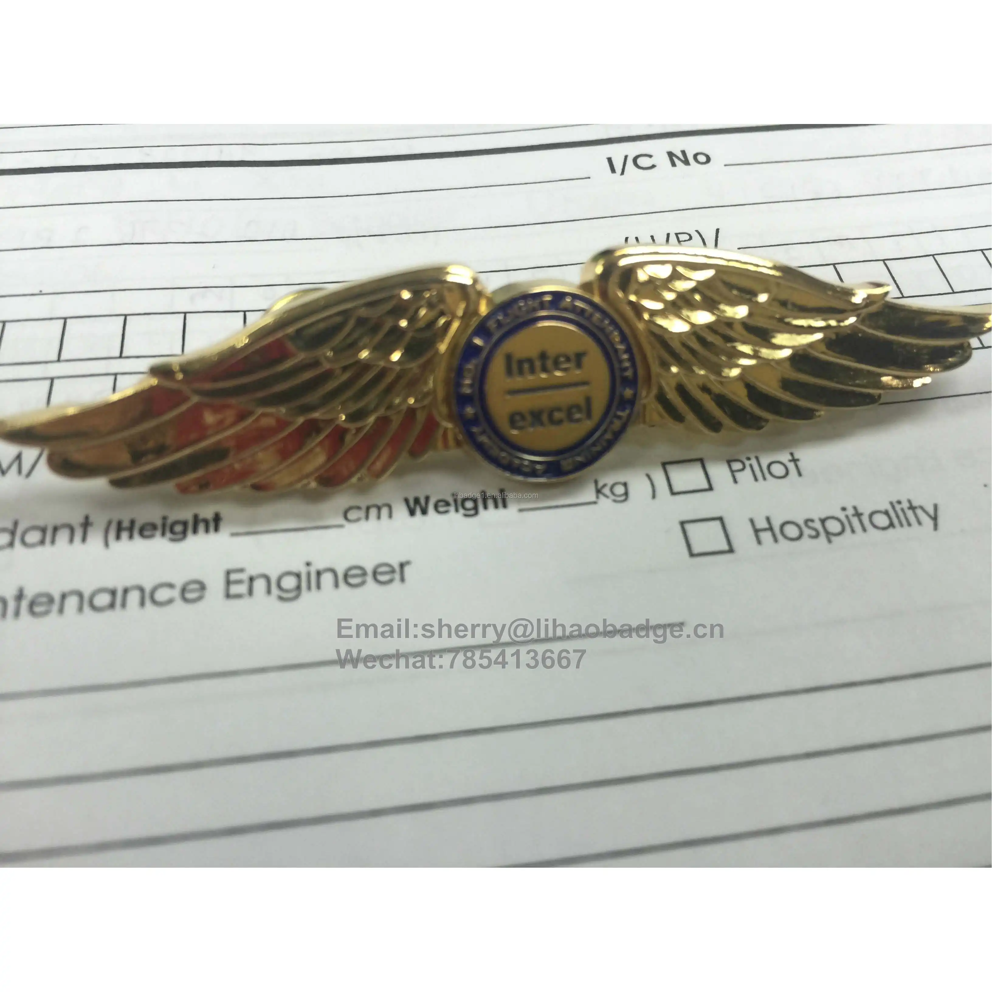 Zinklegering Metal Wing Bagdes, Goud Pilot Wing Reversspeldjes, Zamac Wing Emblem