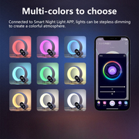 Northland Q télécommande intelligente sans fil lumière RGB table de bureau lampe d'ambiance haut-parleur de musique lever du soleil réveil LED veilleuse