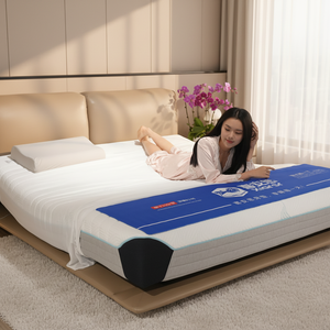 Großhandel Premium Smarte Elektrische Matratze mit Anpassbaren Komfortpositionen, Druckentlastung für Muskelkater-Linderung - Product Image 1