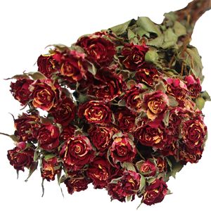 Fleurs de rose rouge séchées naturelles pour la décoration de mariage familial, décoration de fête, illustration de fleurs séchées, roses séchées - Product Image 5