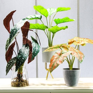Plásticos <span class=keywords><strong>plantas</strong></span> artificiales bonsái decoración del hogar <span class=keywords><strong>plantas</strong></span> <span class=keywords><strong>de</strong></span> <span class=keywords><strong>interior</strong></span> artificiales <span class=keywords><strong>con</strong></span> maceta jardín árbol en maceta moderno Mini maceta <span class=keywords><strong>de</strong></span> plástico - Product Image 1