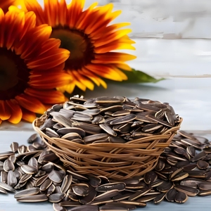 <span class=keywords><strong>Semillas</strong></span> <span class=keywords><strong>de</strong></span> <span class=keywords><strong>Girasol</strong></span> Orgánicas Peladas <span class=keywords><strong>de</strong></span> Alta Calidad al por Mayor Directamente <span class=keywords><strong>de</strong></span> Fábrica para Alimentos, Paquete <span class=keywords><strong>de</strong></span> 25 kg -363 361 - Product Image 2