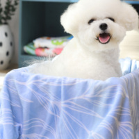 Selimut Hewan Peliharaan Sherpa Custom Print Ultra Lembut, Selimut Anjing Natal Fleece Hangat dan Nyaman untuk Anjing, Kucing, dan Anak Anjing