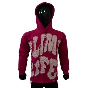 Sudaderas unisex personalizadas, cómodas, con el mejor diseño, ligeras, de alta calidad, recién llegadas, sudaderas con capucha para mujer en todos los colores - Product Image 1