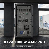 Amplificateur de puissance de classe D KW181A 1000W à succès avec entrée XLR active en métal pour équipement audio professionnel et haut-parleurs professionnels