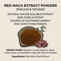 Extrait de racine de Maca Rouge Naturelle en poudre 10:1, 20:1, 30:1 Lepidium Meyenii pour compléments alimentaires et santé, échantillon gratuit OEM
