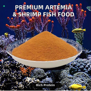 Kystes d'<span class=keywords><strong>artemia</strong></span> décapsulés de haute qualité oeufs de crevettes en saumure petite écloserie alimentation des poissons pour les reptiles directement de chine - Product Image 2