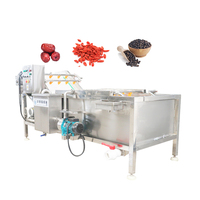 Mossel Reinigingsmachine Commerciële Zeevruchten Schelpdieren Wasmachine