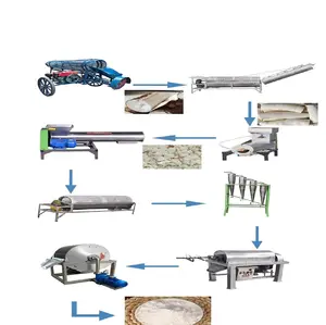 Gemüse De Manioc Cassave Dunschiller Raspen Manioc Frezen Slijpen Snijden Cassave Zetmeel Meel Productie Verwerking Machine