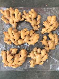 Aria fresca essiccata giovane zenzero cinese cinese prezzo all'ingrosso cibo vegetale zenzero per il mercato del Regno Unito Europa 300g - Product Image 6