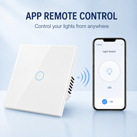 Akıllı Ev Yaşamı WiFi Zigbee Duvar Işık Anahtarı AB Standardı 86x86mm PC Panel 1/2/3'lü Uygulama Uzaktan Kumandası