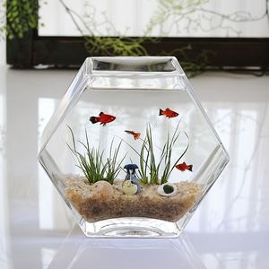 Creatieve en gepersonaliseerde glazen aquariums voor vissen, geometrische pentagonale miniatuur aquariums, zeer transparante desktop aquariums - Product Image 5