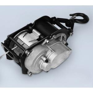 Micro palan électrique 220V petit ascenseur télécommande palan portable - Product Image 5