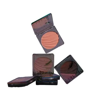 Make-Up Blush Private Label 6 Kleuren Hoog Pigment Gemakkelijk Vlekken Waterdicht Langdurig Veganistisch Mat Glitter Blush Palet