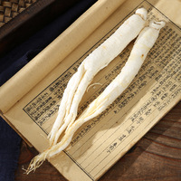 Racine de ginseng séchée naturelle aux herbes chinoises Racine de ginseng blanc de qualité supérieure