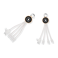 Câble de charge multifonctionnel 4-en-1 en paille de blé et bambou, double entrée USB et Type-C, 3 sorties avec logo LED personnalisé