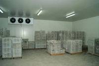 Chambre froide modulaire à atmosphère contrôlée avec panneaux PU CA-10 et compresseur Copeland automatique, ensemble complet pour la conservation des fruits agricoles