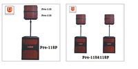 Sistema de Sonido Profesional Pro-110 Line Array para Eventos y Fiestas en Interiores y Exteriores