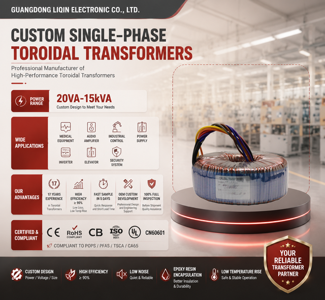 Professional Audio HiFi Preamp Toroidal Transformer 220V 115V Single 24V 36V Pure Copper Low Noise Ring Core Top Choice
