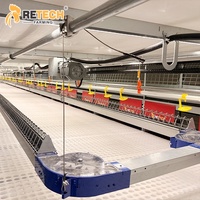 Conception de bâtiment avicole pour poulets reproducteurs, équipement de cage d'élevage au sol automatique à 2 niveaux avec nichoir à œufs