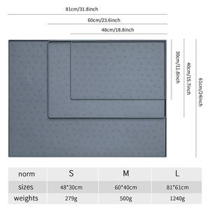 Lynpet Factory Groothandel Hoge Rand Waterdichte Hondenvoedermat Vierkante Zindelijkheidstrainingsmat Siliconen Urine Mat Bakhouder Bescherming - Product Image 2