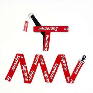 高級ナイロン犬用ハーネスリーシュセットレターペットアクセサリーCH1003フレンチブルドッグチワワ用その他中型大型小型品種 - Product Image 5