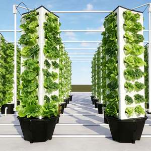 Sistema de Torre Hidropónica de Cinco Niveles, Torre de Cultivo Vertical sin Suelo, Equipo Hidropónico Modular África - Product Image 6