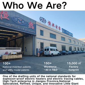 Chauffage de process électrique en acier inoxydable certifié ATEX IECEX 520 kW sur skid pour préchauffage de mélange gaz hydrogène syngaz dans l'industrie pétrochimique - Product Image 5