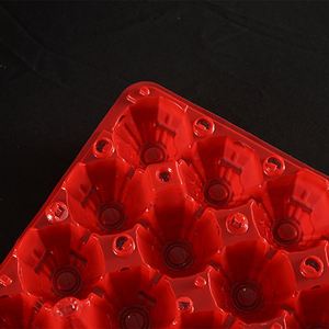 Custom Disposable PET Transparent <b>Plastic</b> Chicken Egg <b>Tray</b> Packaging Reusable Packing Carton for 30 Eggs - Product Image 3