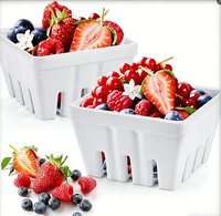 Cesta de Frutas Quadrada de Melamina de 5 Polegadas com Furos para Morangos, Uvas, Cerejas e Outras Frutas