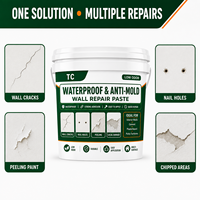 Pâte de réparation murale imperméable et anti-moisissure TC pour fissures, trous, peinture qui se décolle et réparation multi-surfaces des murs intérieurs
