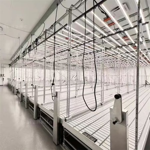 Customizable Small Greenhouse with Movable Tide Rack Seedbed Tray Rolling <strong>Table</strong> for Tomato Hydroponics Planting Agriculture - Product Image 2