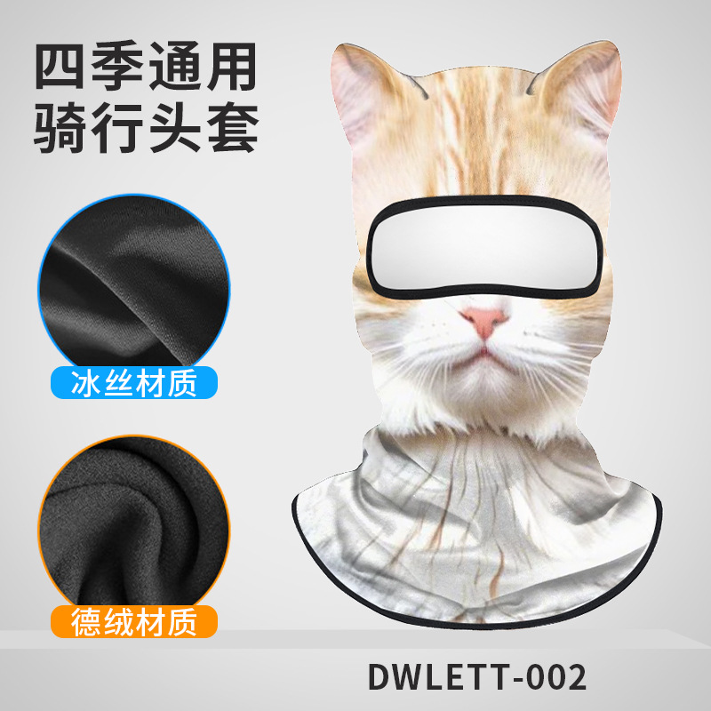 DWLETT-002