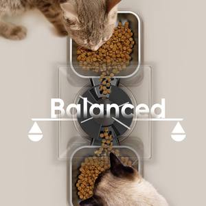 Pemberi makan kucing hewan peliharaan otomatis, 5L dengan dua mangkuk waktunya Dispenser ramah lingkungan dalam ruangan untuk hewan peliharaan kecil untuk anjing - Product Image 4