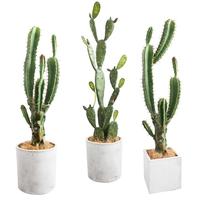Plante Artificielle de Haute Qualité, Plantes Suspendues Artificielles Émoticues, Jardinière Surélevée Moderne, Cactus Artificiel Chinois
